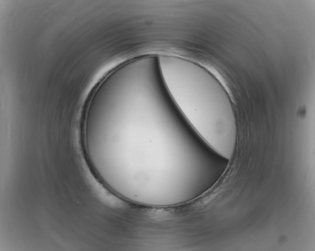 X0000096951139200802080915