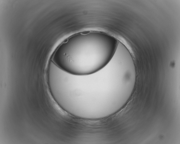 X0000096951140200802080915