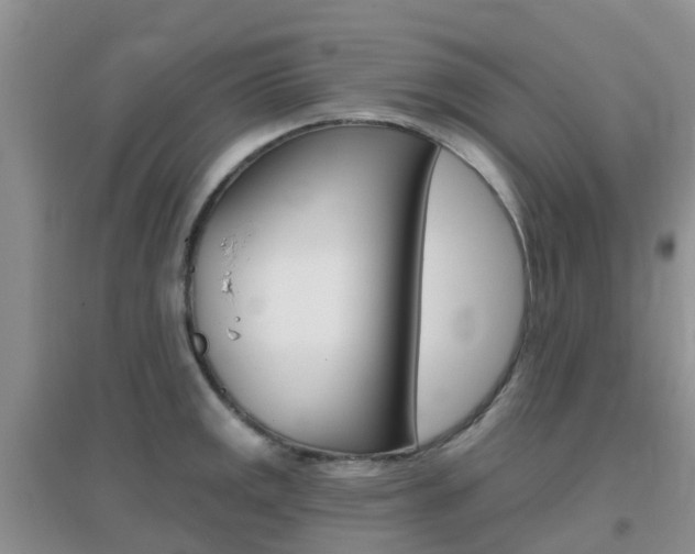 X0000096951141200802080915
