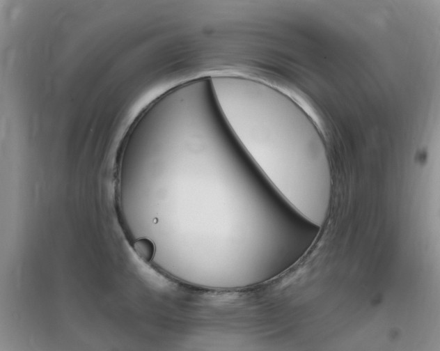 X0000096951143200802080915