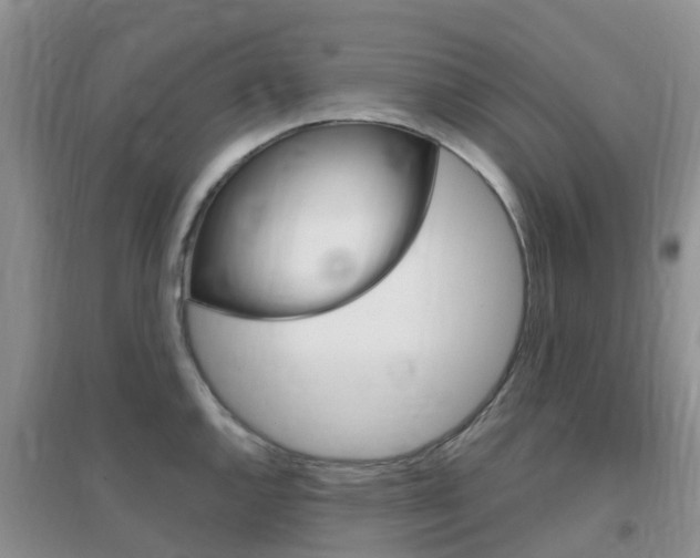 X0000096951144200802080915