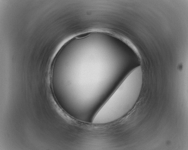 X0000096951148200802080915