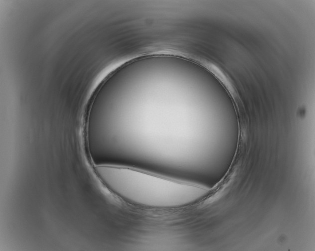 X0000096951149200802080915
