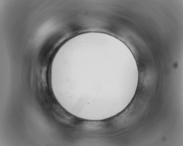 X0000096951150200802080915