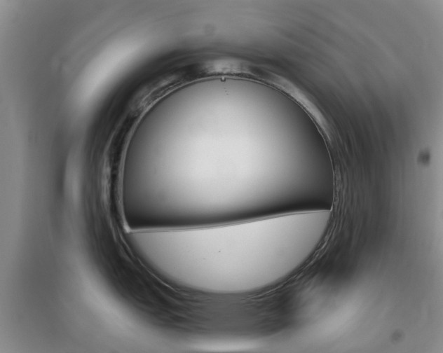 X0000096951151200802080915