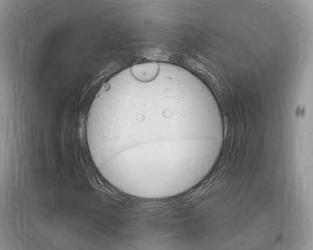 X0000096951154200802080914
