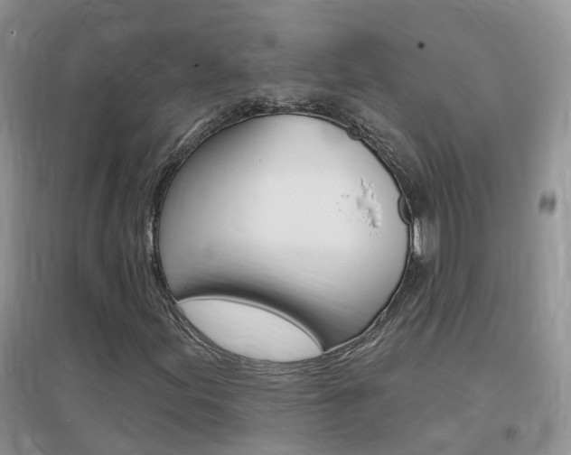 X0000096951155200802080914