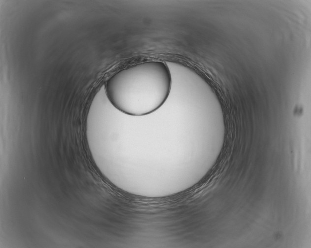 X0000096951156200802080914