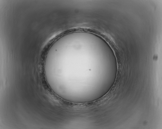 X0000096951159200802080914