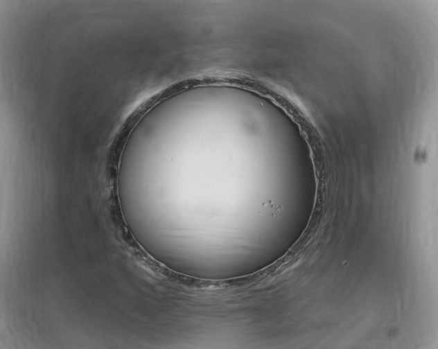 X0000096951160200802080914