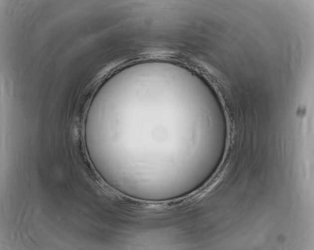 X0000096951161200802080914