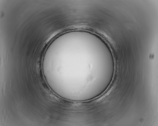 X0000096951162200802080914
