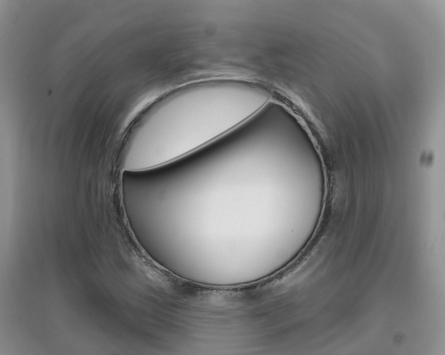 X0000096951163200802080914