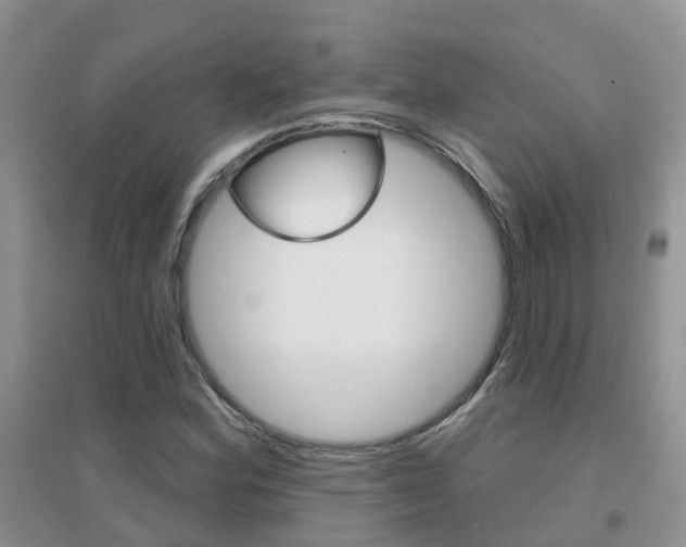 X0000096951164200802080914