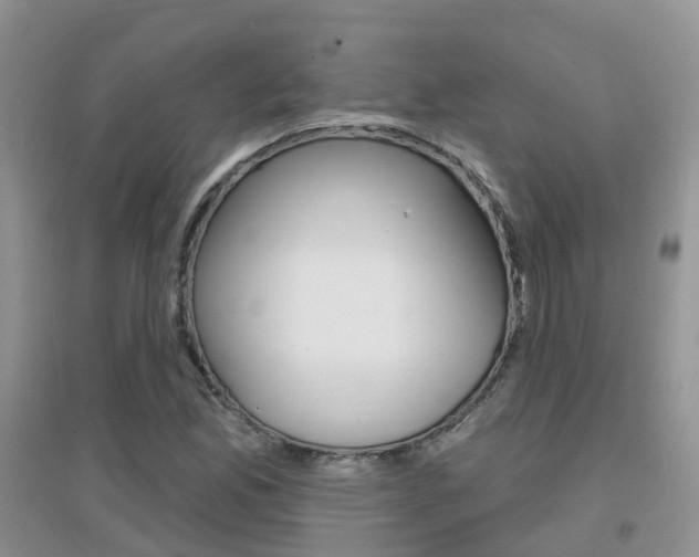 X0000096951165200802080914