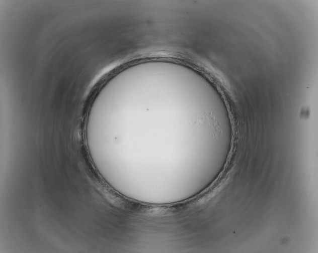 X0000096951166200802080914