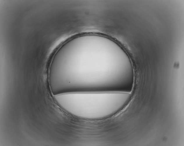X0000096951167200802080914