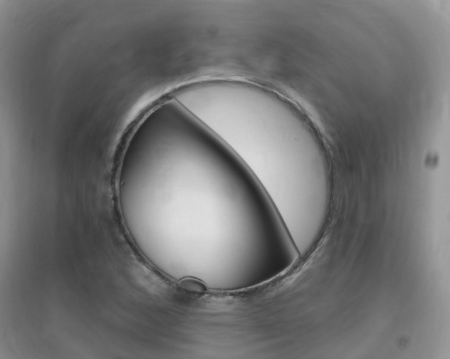 X0000096951168200802080914
