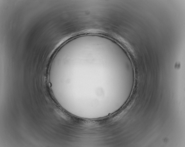 X0000096951170200802080914