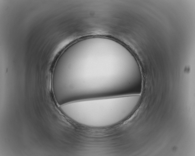 X0000096951171200802080914