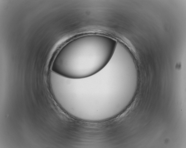X0000096951172200802080914