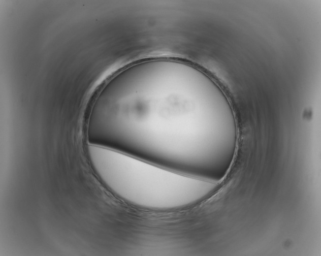 X0000096951173200802080914