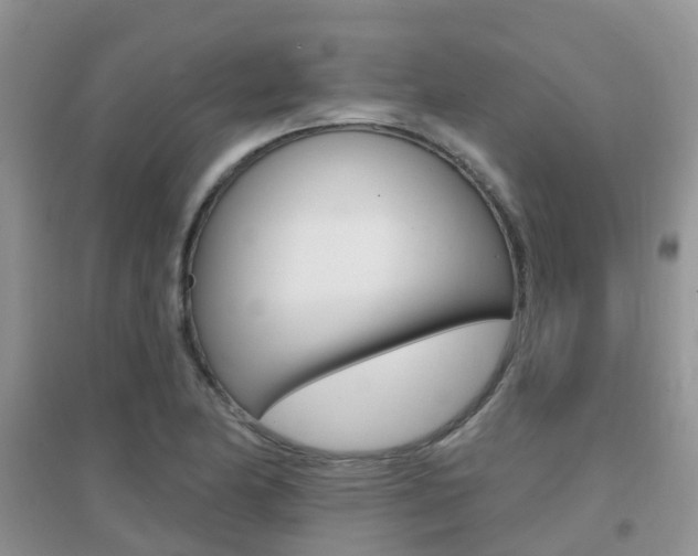 X0000096951174200802080914