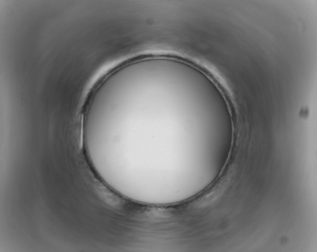 X0000096951175200802080914