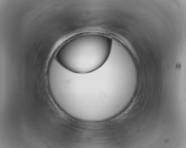 X0000096951176200802080914