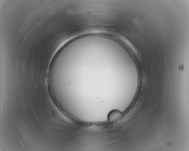 X0000096951178200802080914