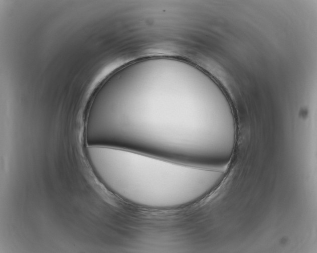 X0000096951179200802080914