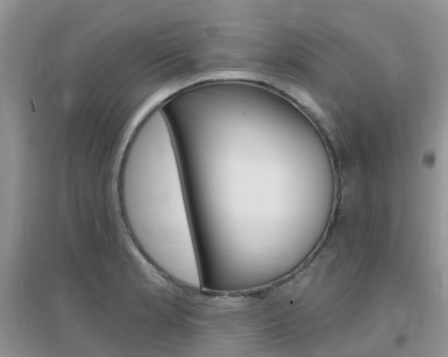 X0000096951181200802080914