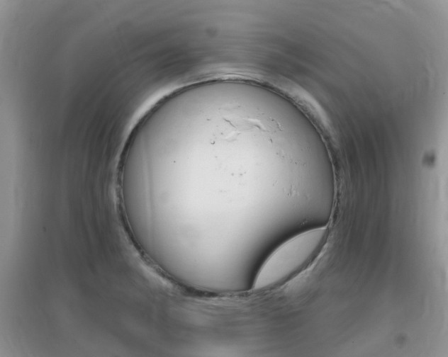 X0000096951182200802080914