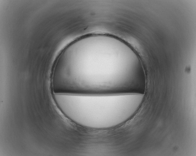 X0000096951183200802080914