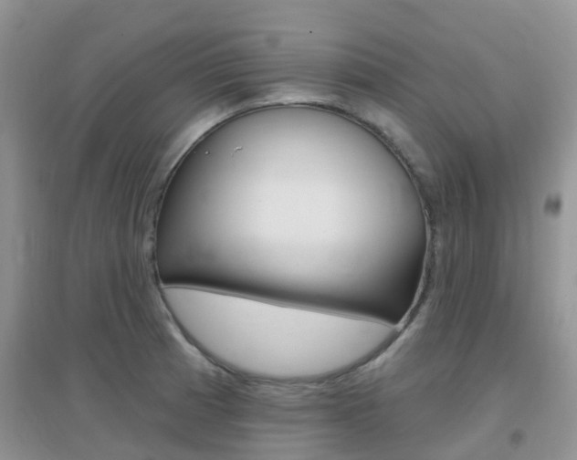 X0000096951185200802080914