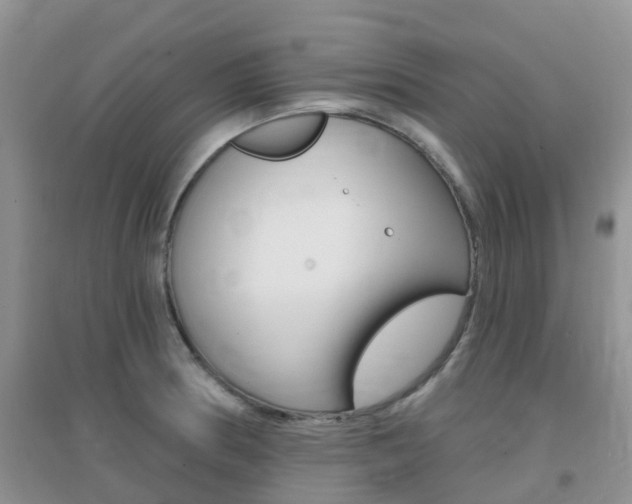 X0000096951186200802080914