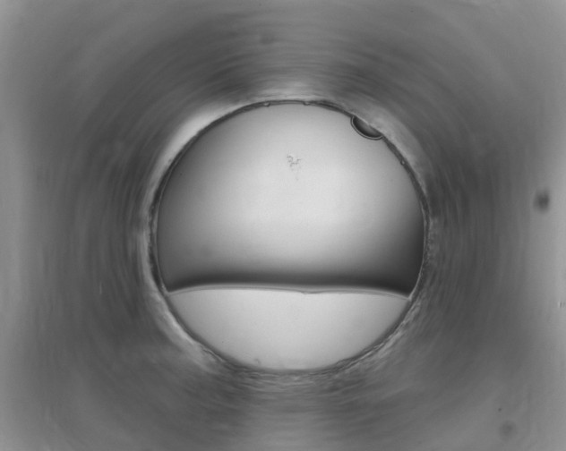 X0000096951187200802080914