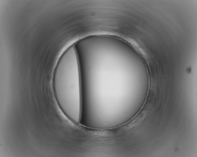 X0000096951189200802080914