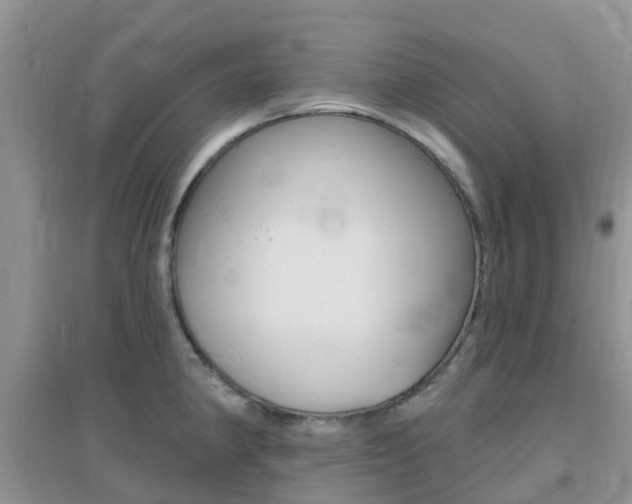 X0000096951190200802080914