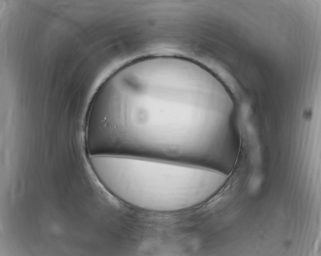 X0000096951191200802080914