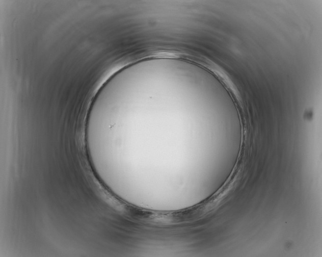 X0000096951194200802080914