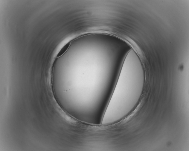 X0000096951196200802080914