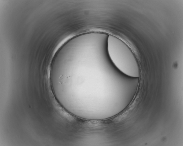 X0000096951198200802080914