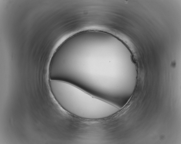 X0000096951199200802080914