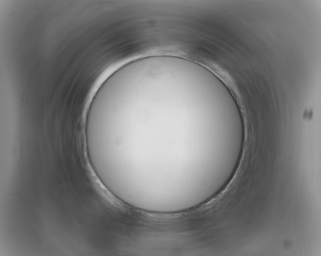 X0000096951200200802080914