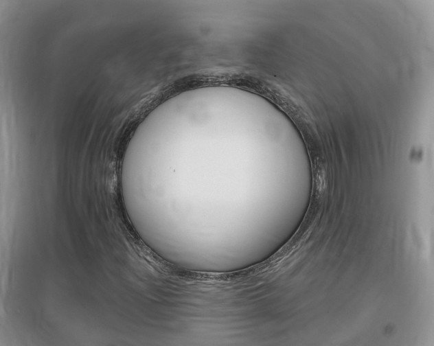 X0000096951204200802080913