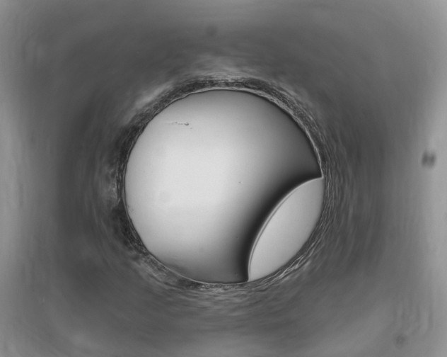 X0000096951205200802080913