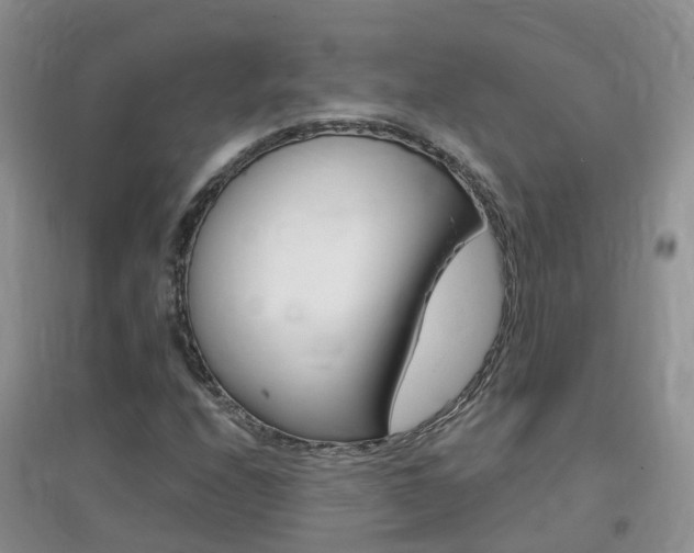 X0000096951208200802080913