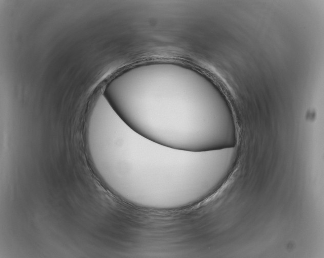X0000096951211200802080913