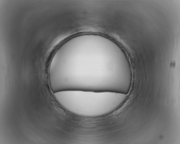 X0000096951215200802080913